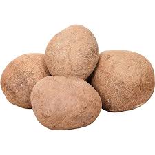 dry coconut